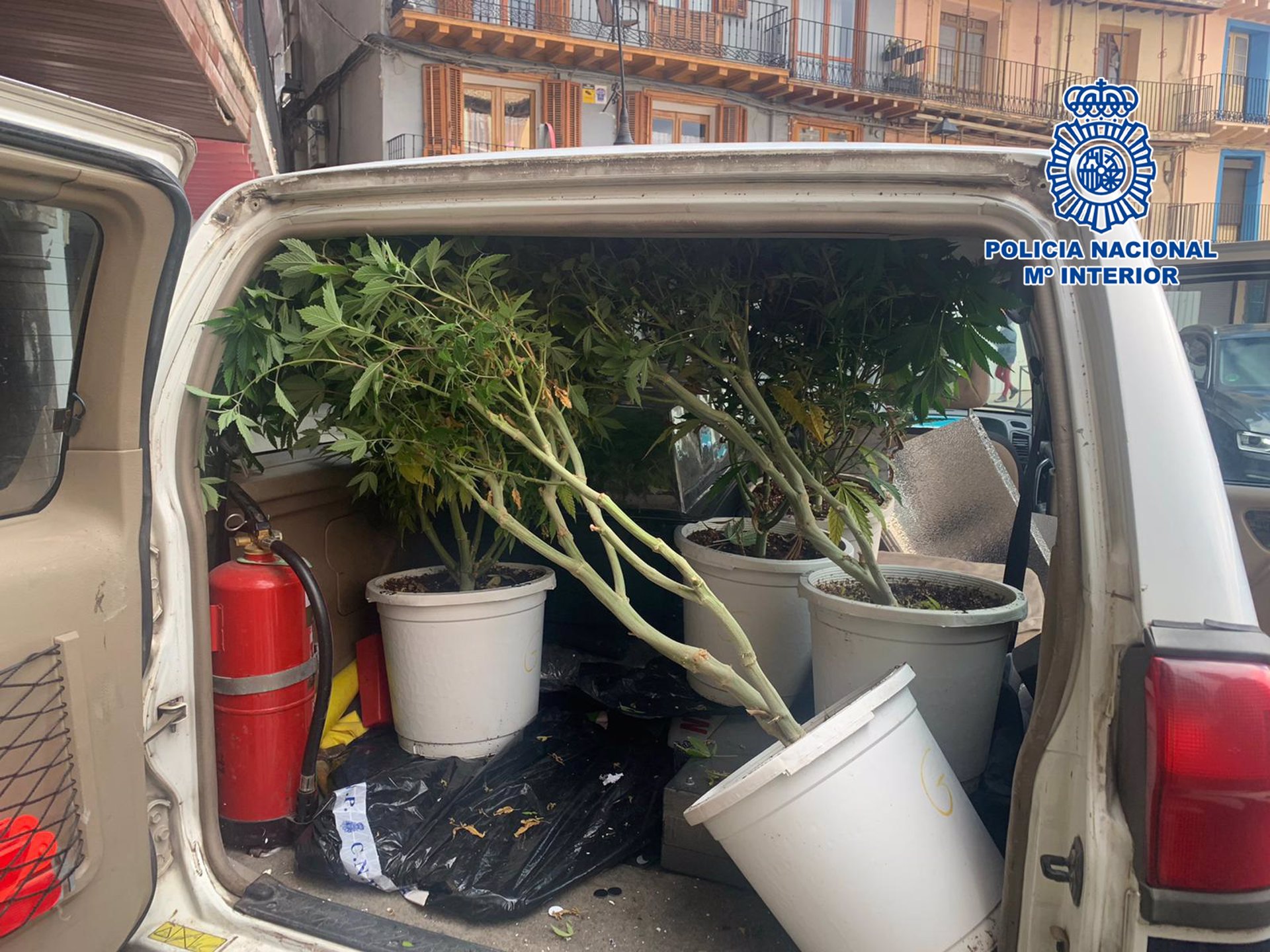 Zaragoza.-Sucesos.-Detenidas tres personas en Calatayud cuando pretendían robar en un piso dedicado a cultivar marihuana