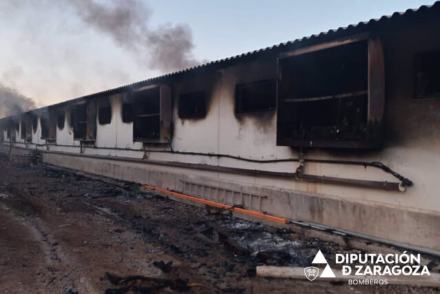 incendio-granja-puzuelo